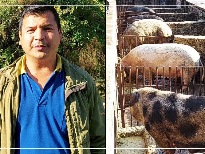 विदेशबाट फर्किएर बंगुर पालनमा रमेका नन्दकिशोर (भिडिओ सहित)